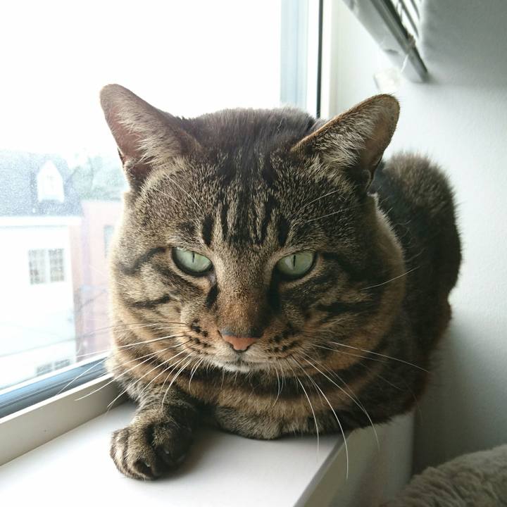 2b1c67f8 d40e 4834 bc78 adb3915ee743