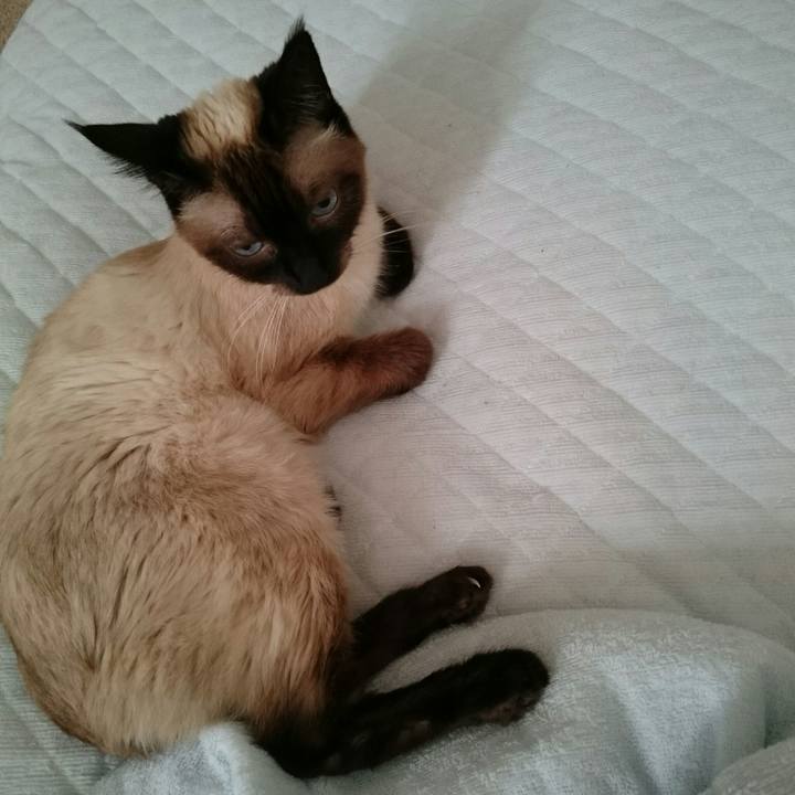 2b1d1a32 caed 432d a33e 356fd48fbd3b