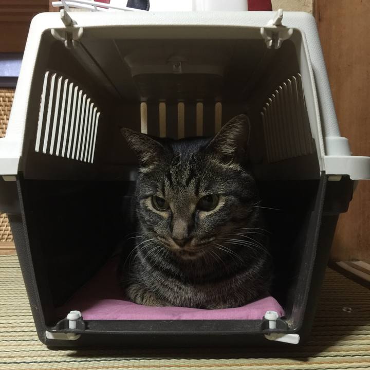 2b1db38e 3d28 4588 8a6e f760b56a6b03