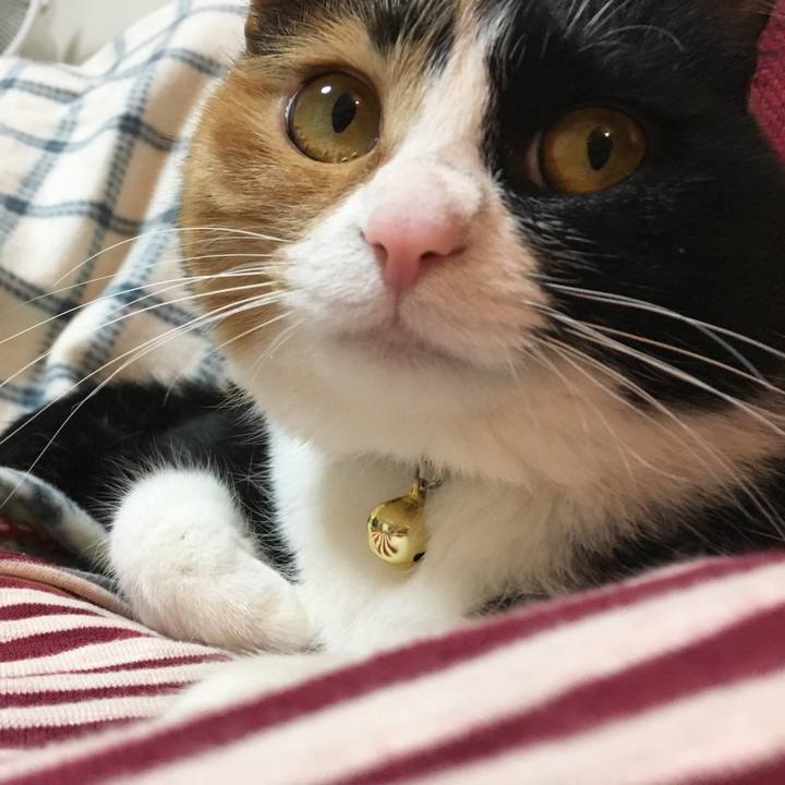 2b1db802 060b 409b a39c 9e86bcf91666