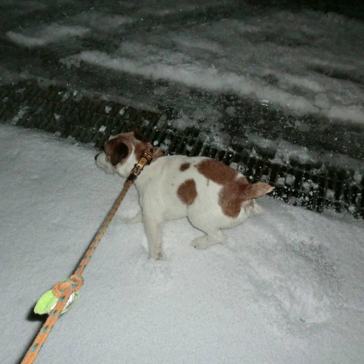 2b1ebff6 d7ed 4358 9e68 205f9c63797a