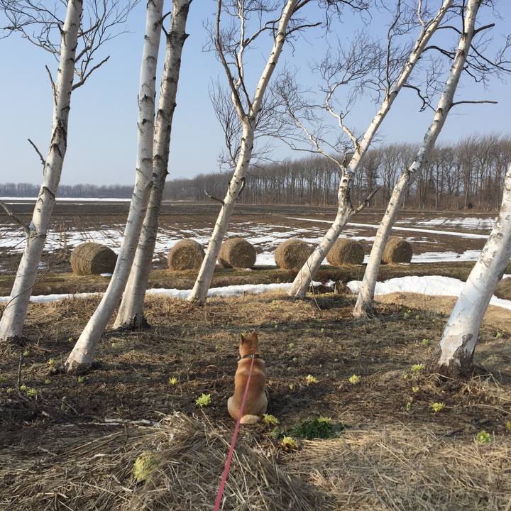 2b1ecd4e aba8 4990 a54c 4c2059cb4b4f