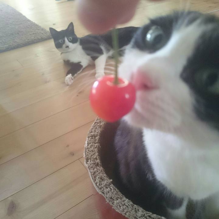 2b1ed2fd e85f 4748 a9a7 4084f73c48d9