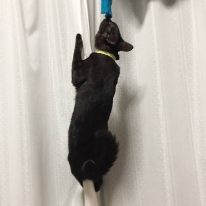 2b1ed7c7 afc4 46fb 8984 015a2156b094