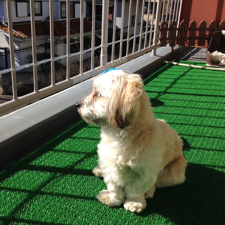 2b1f14a6 645d 4224 810d 151245ab42b7