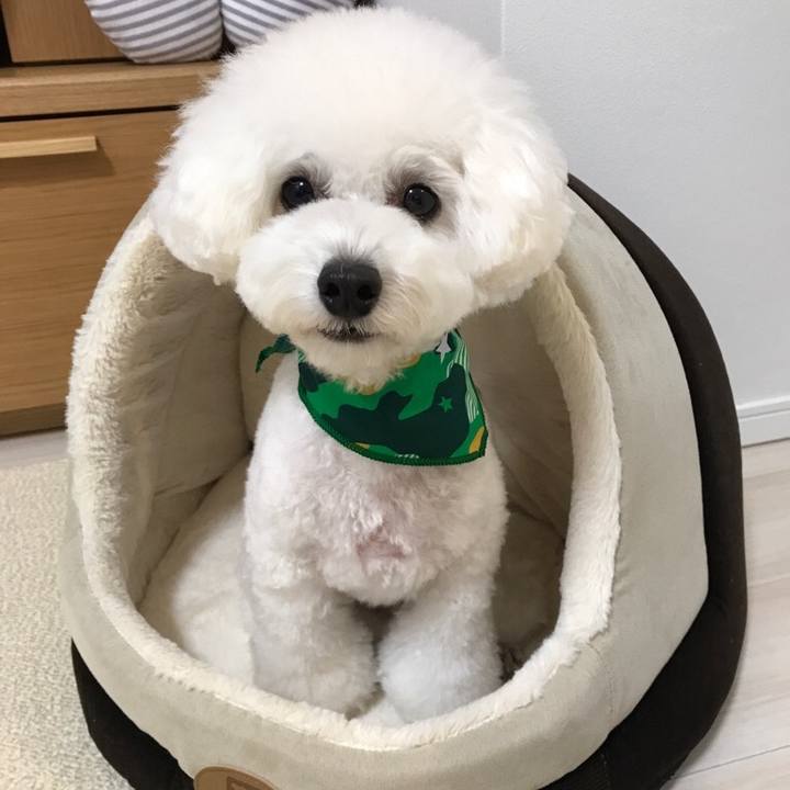 2b1f7ab6 39be 4445 9ab8 e0152eb43265