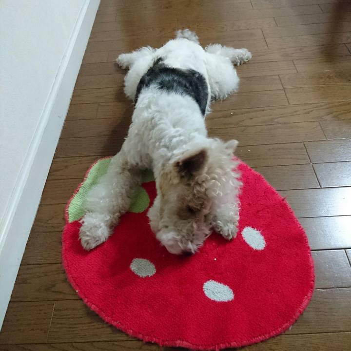 2b1fc806 e047 4152 9486 0746a6425320