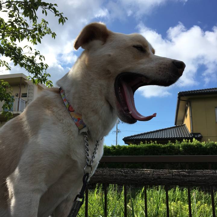 2b1fe08b e2bd 435f aee5 073e7f0ed8ab