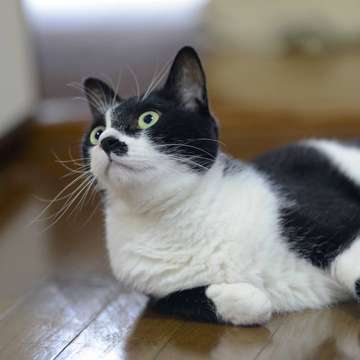 2b20048e 24f1 4bd8 817d 63853c6932a9