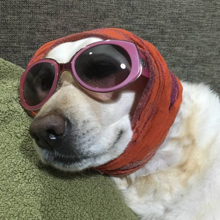 2b201acb acd0 4cc1 b7d6 a144253f330e