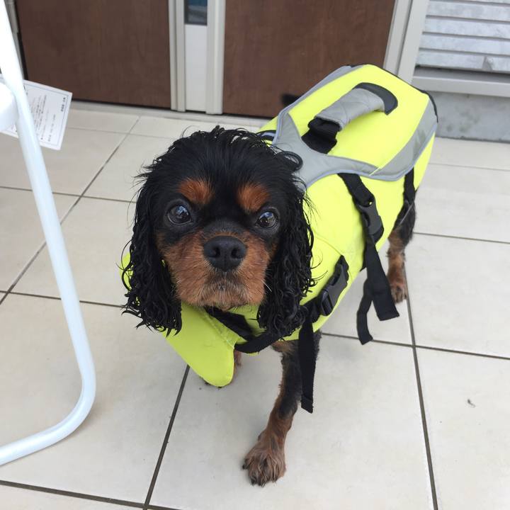 2b2120ac 02b9 43ba a6f4 cfb463f5c0c8