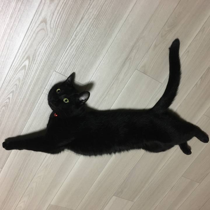 2b213fdb a851 4041 8d1d a888b516ebdc