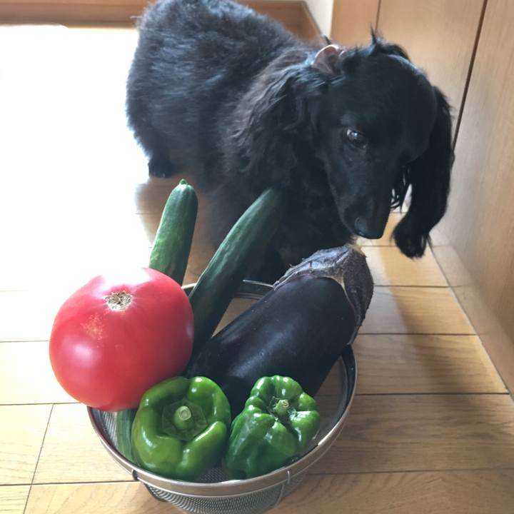 2b214751 3aa6 4b48 ba64 4761d0bad25e