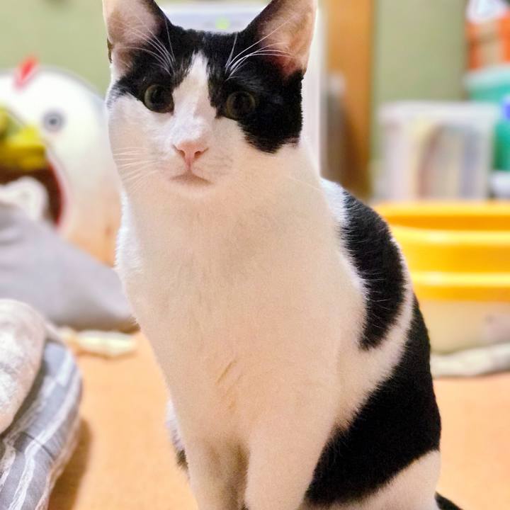 2b21936f 7171 4aa7 8a0b c011e0f38701