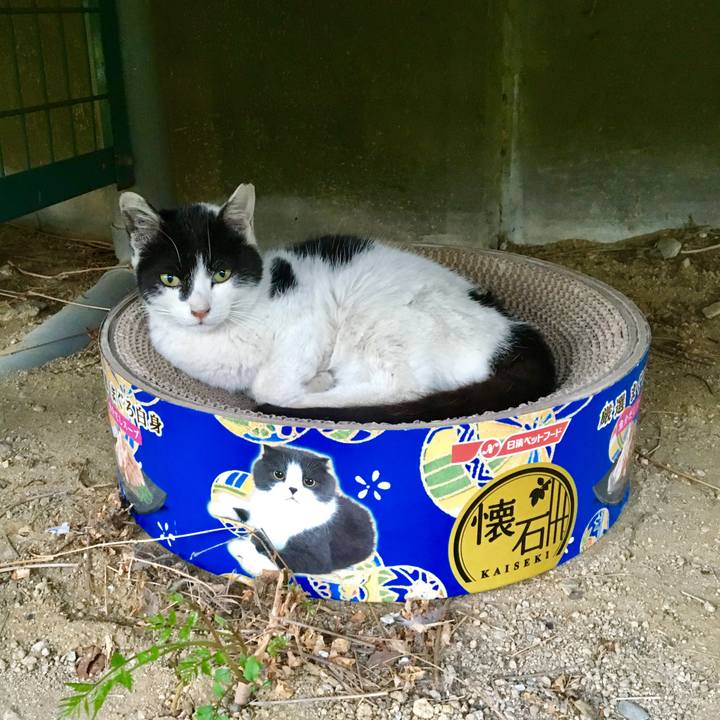 2b21c937 feaf 4ace 8dc5 df4ce1766503