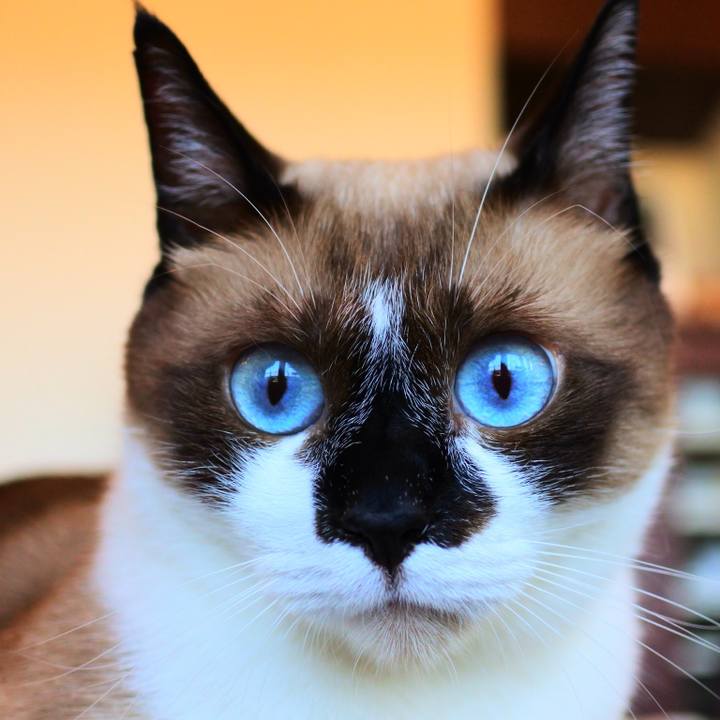 2b2206df 925a 45ae 8162 f81f02fc7de3