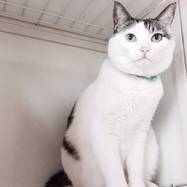 2b222016 fcf0 4c4c 8348 e4e33146a37e