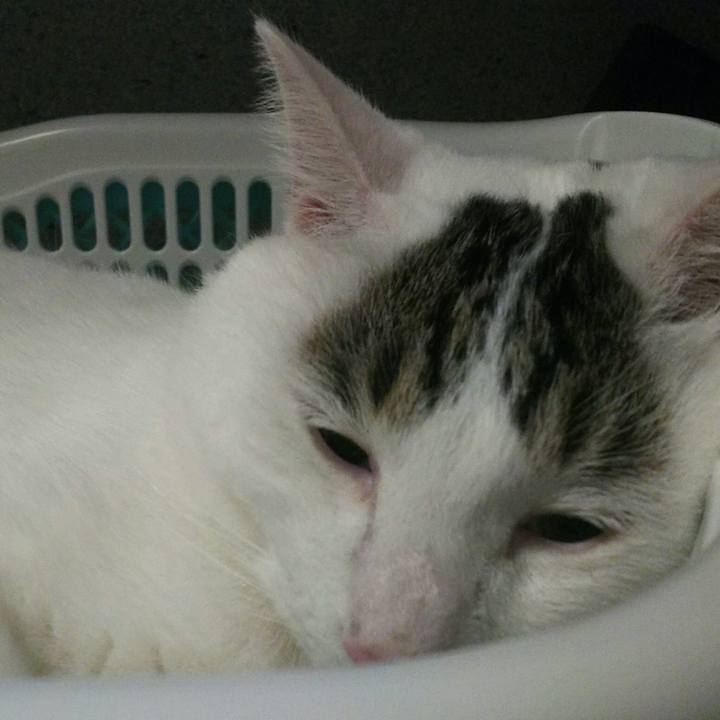 2b224d5c 1bce 46f4 91aa 708d281eedee