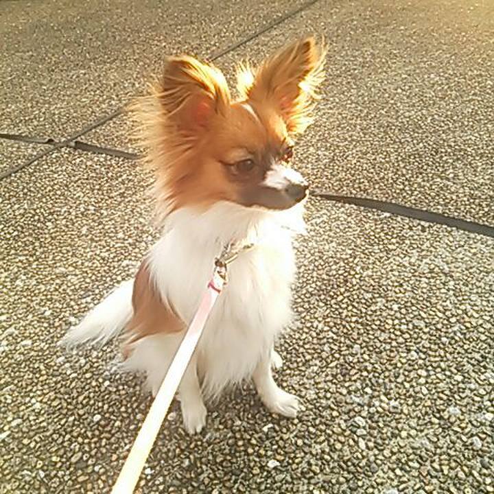 2b225bed d23f 4732 916d 35e47ae7fa35