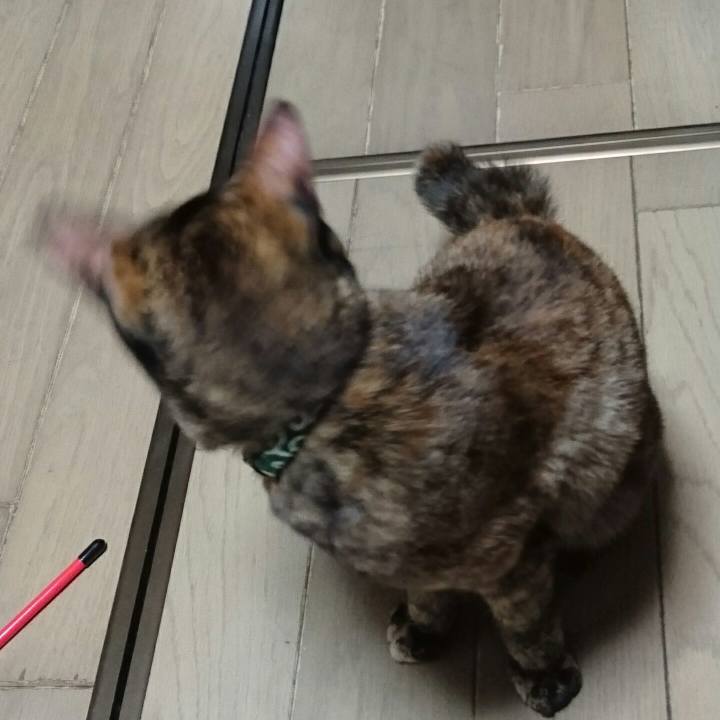 2b22836c 7162 4d8e 9729 f2b57ec90e26