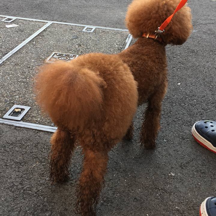 2b2288f3 d41f 47b5 93bd 7d7164779f46