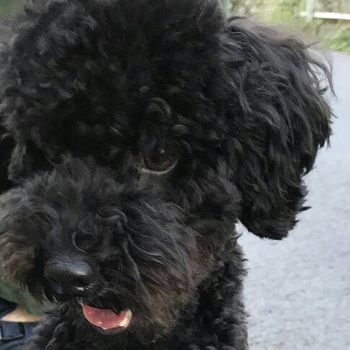 2b2314b2 b60b 4932 b055 1bb7bbaee60e