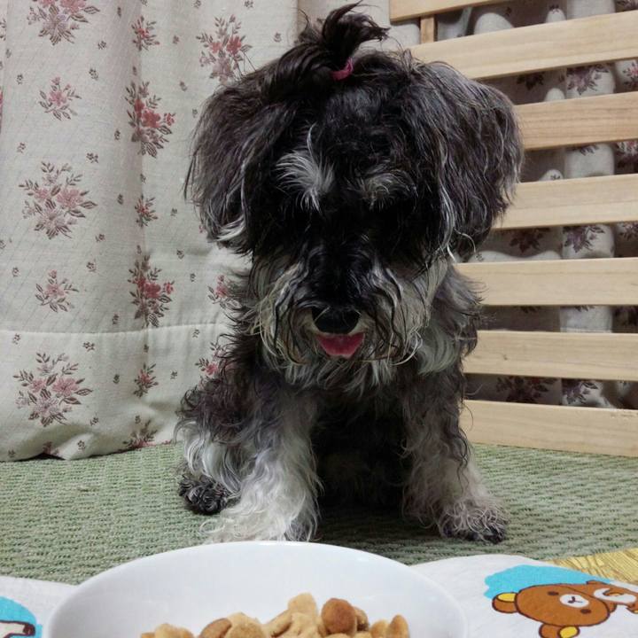 2b234616 8bb9 431d ae8d 8582567421f5