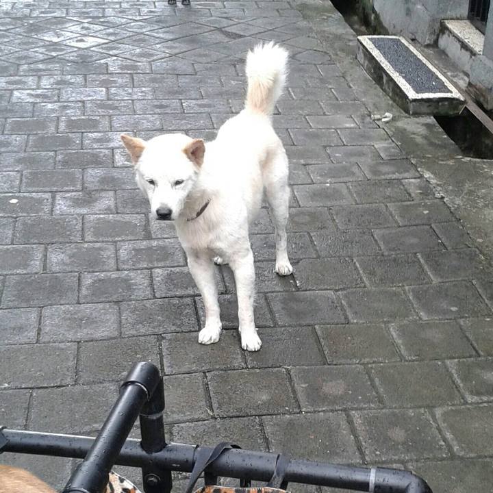 2b23c5fe 9a12 47e7 a6b6 bdc16ff9459c