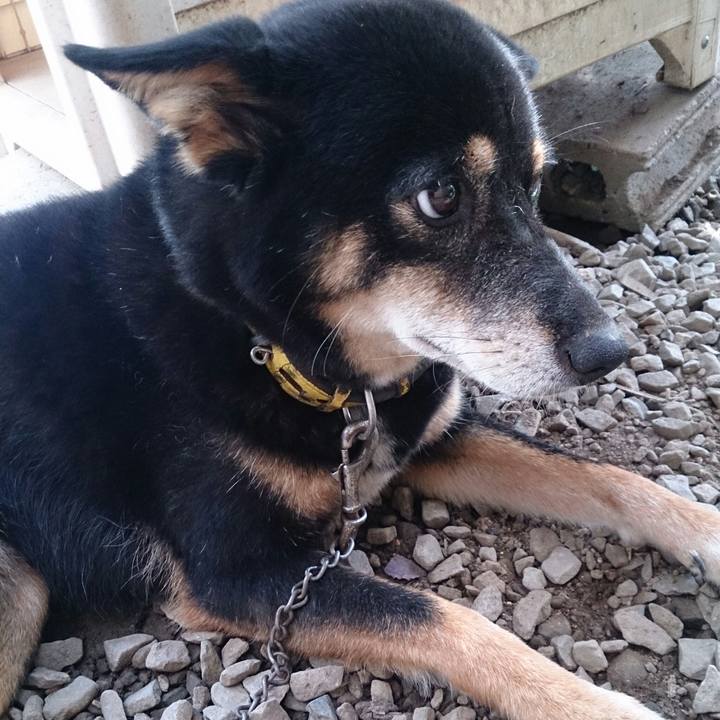 2b23cd60 7640 4a75 8387 55e2af4dee1c