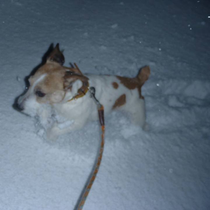 2b23db59 3d1f 4750 8250 4d37acbc0231