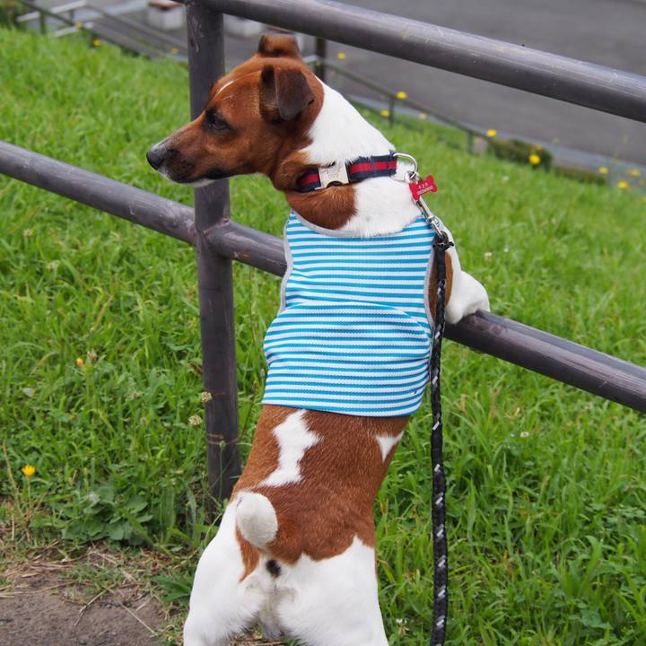 2b2401ae d75a 4582 ac96 56dee634a969