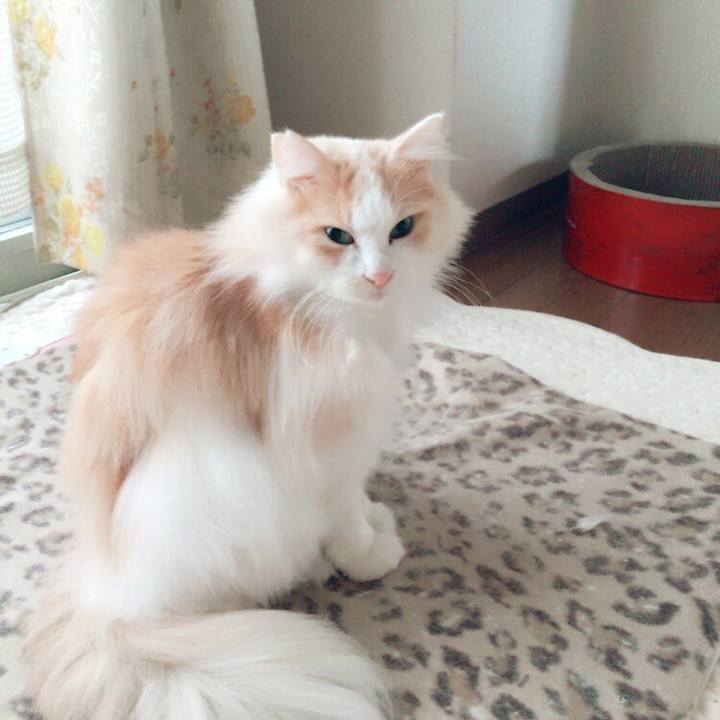 2b2425d1 6fa2 4a7a ae98 53b27612ca02