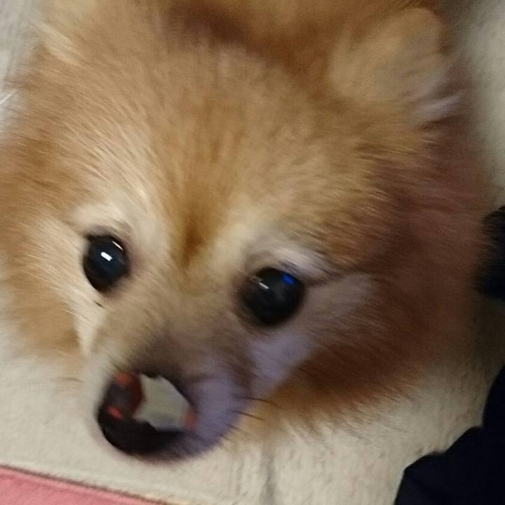 2b246854 7630 41c6 ae9d 6f627472e98e