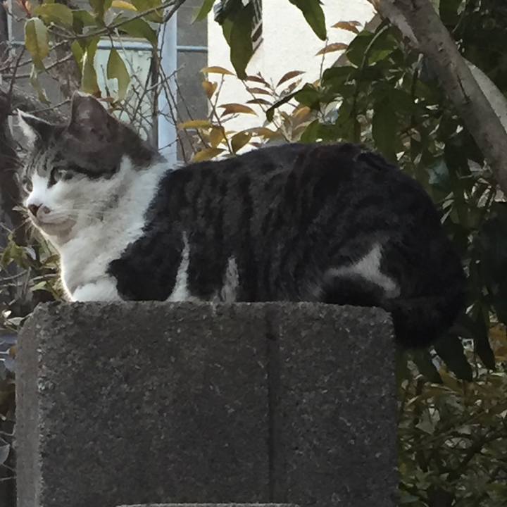 2b24a3cb b848 4f57 b1d9 07eb4b369a60