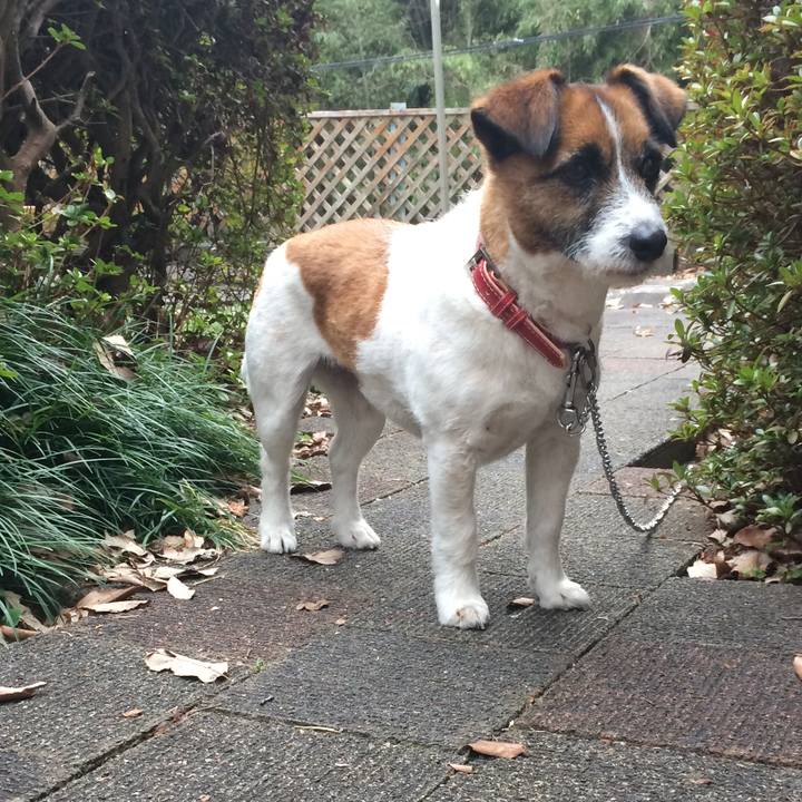 2b24f49f d77e 45e9 9ac0 a54702be98d0