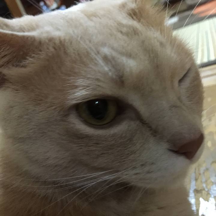 2b2518e7 0ef2 46e2 a6bb b67c0b7e6047