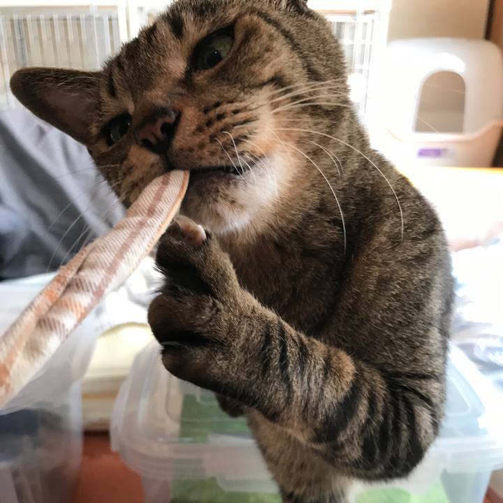 2b25219e 9b6f 4508 aa69 fd5c1beb37ed