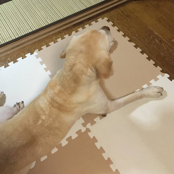 2b254df5 d44e 4985 aa13 09a31b321888