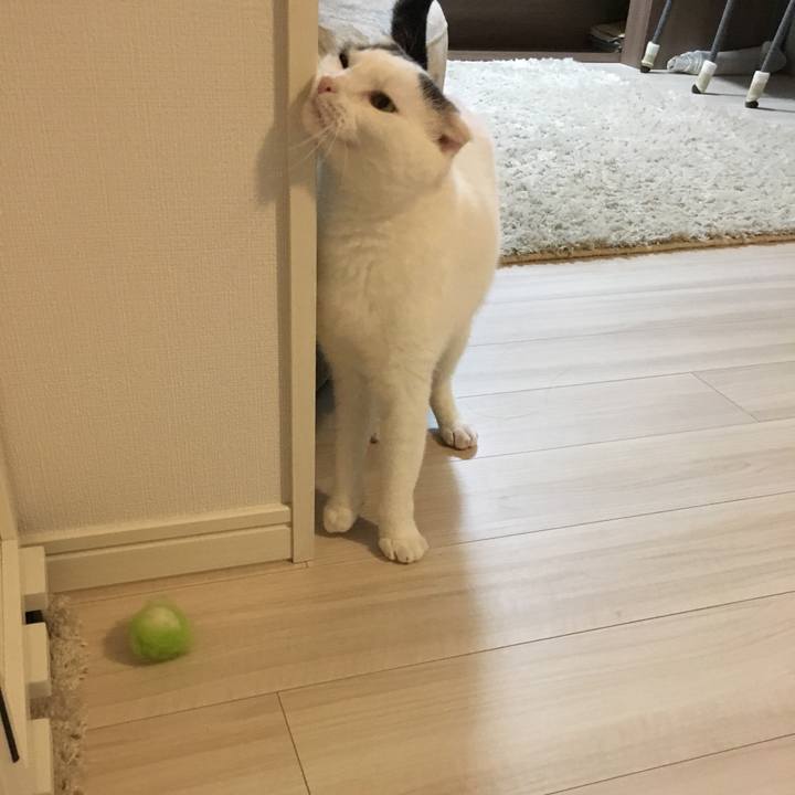 2b258769 f1ce 40d8 a9a7 70c2d437b13f