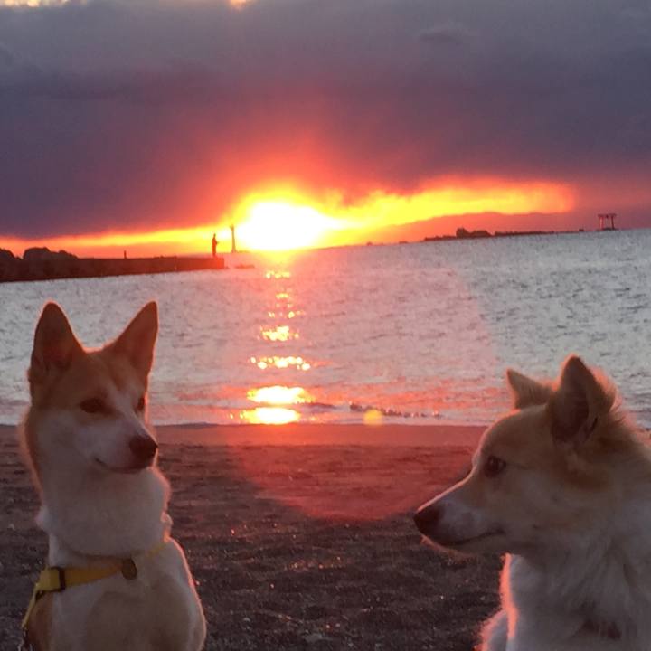 2b259585 dbd1 493f 8ed5 90bcdf99427d