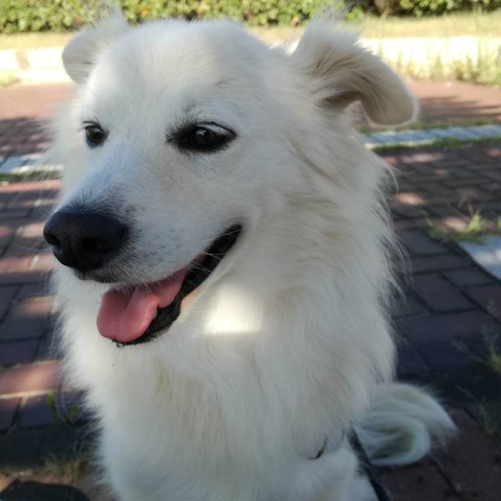 2b25f3ec 60f4 4d99 aeb3 f8e74bd17fea