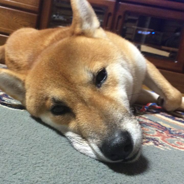 2b2623e7 94f7 47ba 93da fe4cb2fa5afc