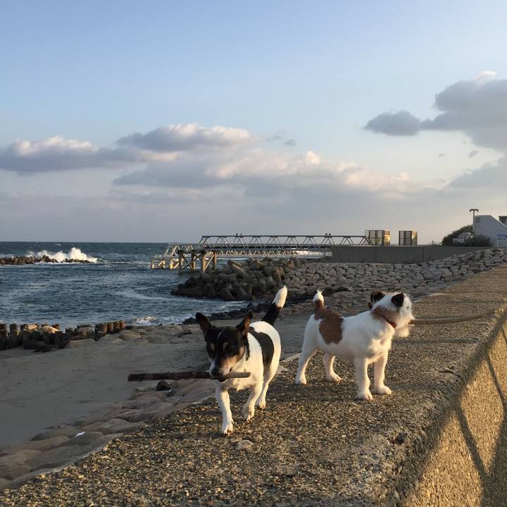 2b2634fd 1566 4c9d 9f02 5fc586a4013d