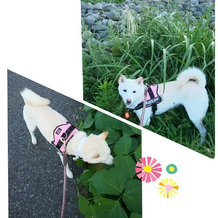 2b26bf01 3d23 405a 8cda c07adc7be142