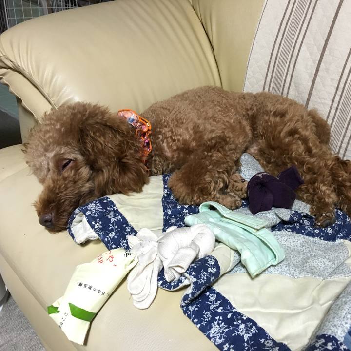 2b270765 939f 46e2 b7ff ad45721c37f4