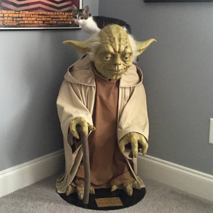 2b274daf bf9d 4018 b37e 037704b50872