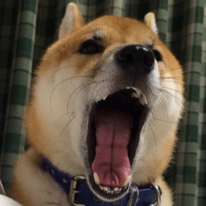 2b27fad6 3e0c 47b3 8915 45a779c43986