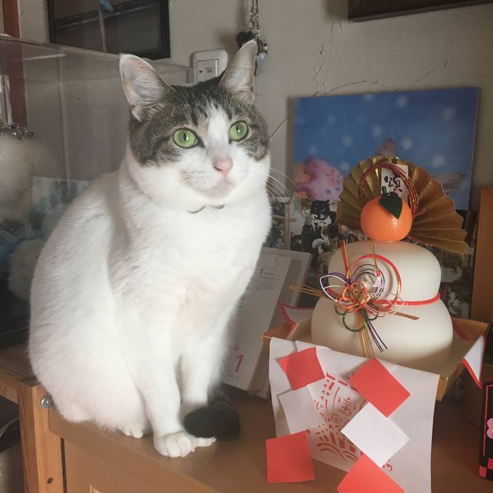 2b295748 6755 4ef4 a82e fcc272ff3a05