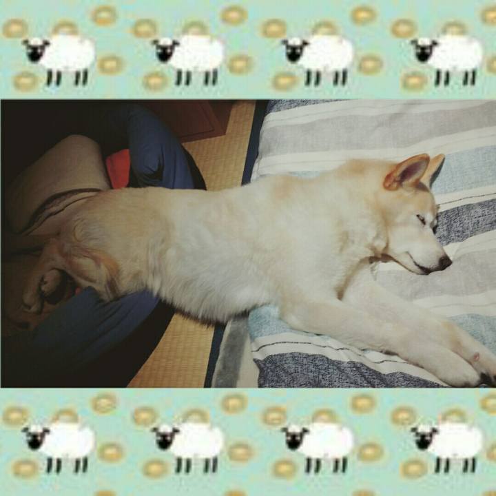 2b2a1eec 86c1 4a71 ae8c a0f9a8a0d925