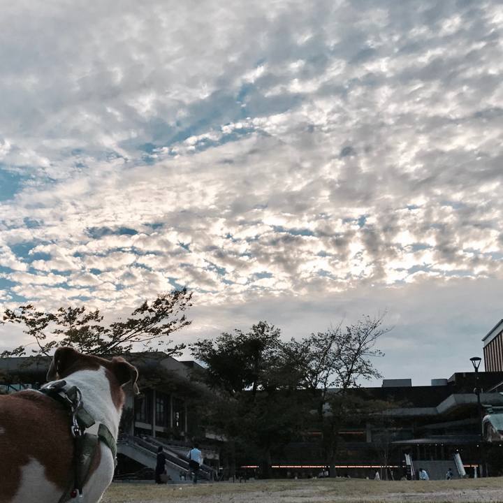 2b2a4782 28c0 47ca 8513 44e0f2293a7c